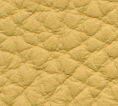 atlantic-515-yellow.jpg